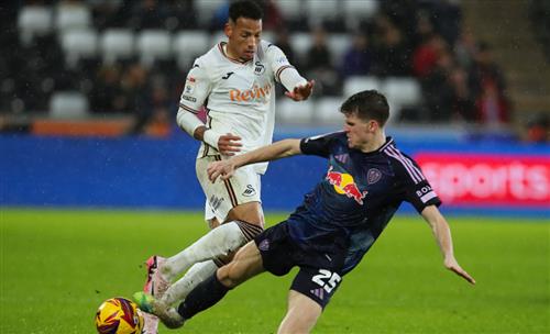 Swansea City gegen Leeds United