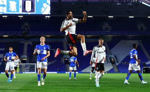 Birmingham City gegen Fulham