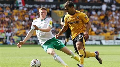 Newcastle gegen Wölfe